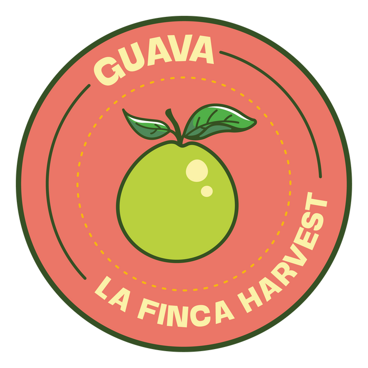 Guava